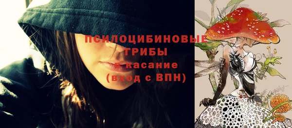 прущие крисы Арсеньев