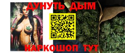 индика Будённовск