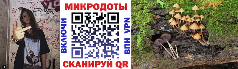 omg ONION  Майкоп  Псилоцибиновые грибы Psilocybe 