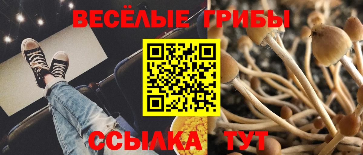 Псилоцибиновые грибы ЛСД Майкоп