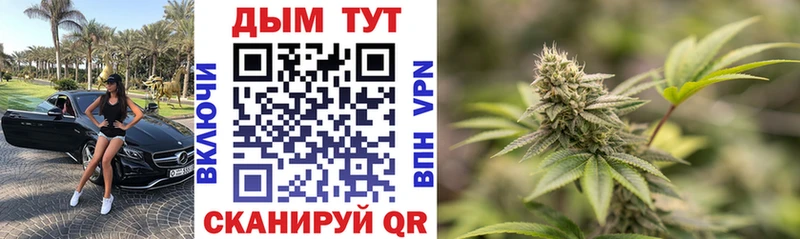 Марихуана VHQ  магазин    ОМГ ОМГ ССЫЛКА  Майкоп 